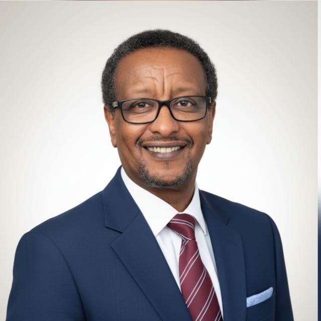 Prof. Dr. CEng. Isam Mohammed Abdel-Magid